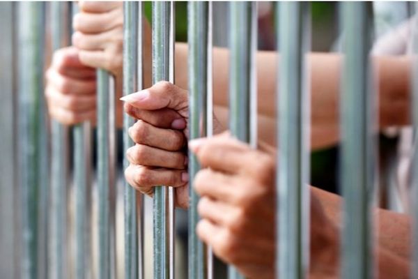 Gambino mob boss Peter Gotti loses second bid for compassionate release -- this time citing COVID fears