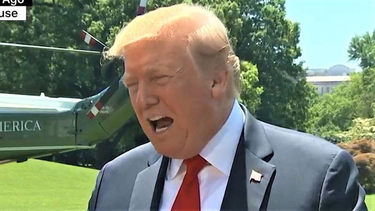 Trump ridiculed for 'resign in disgrace' demand to Biden: 'President Kamala Harris? Sounds good'