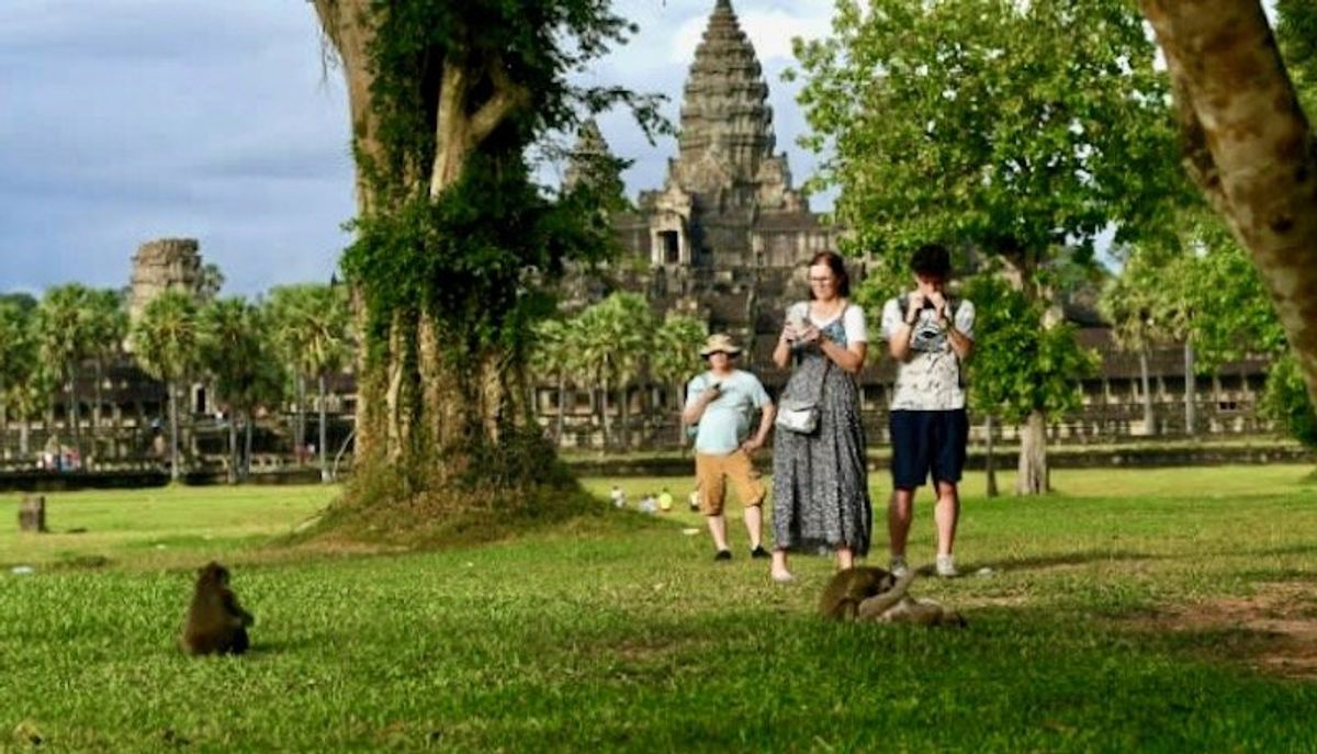 YouTubers causing monkeys to attack tourists at Cambodia's Angkor Wat