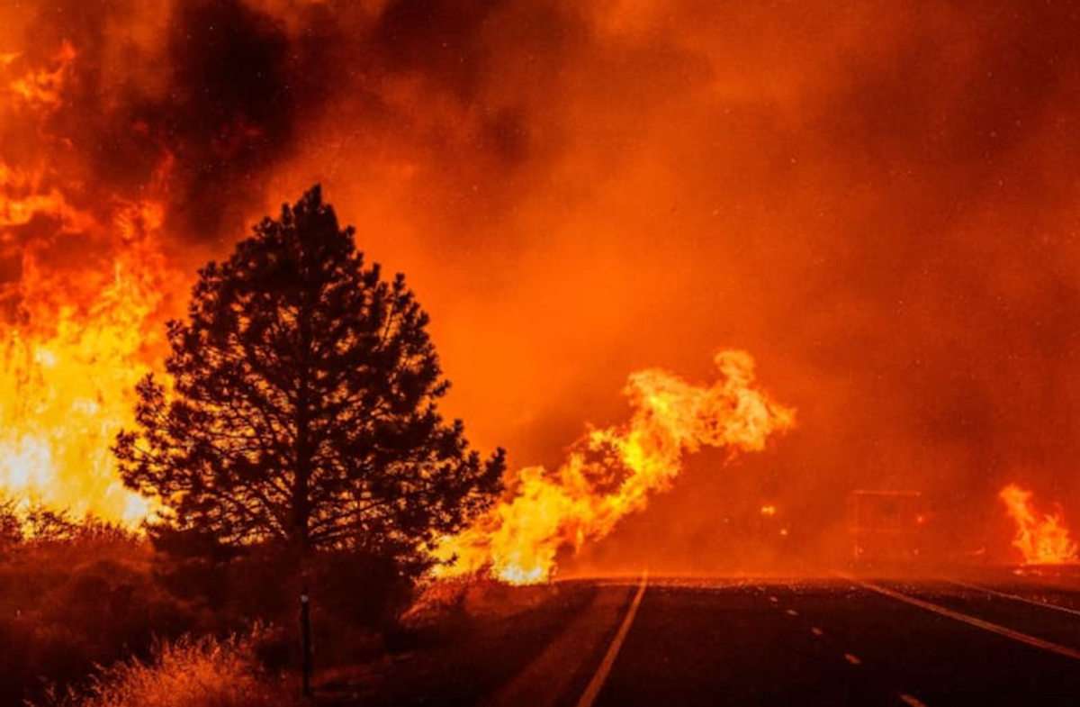 Thousands evacuate season's biggest wildfire in northern California
