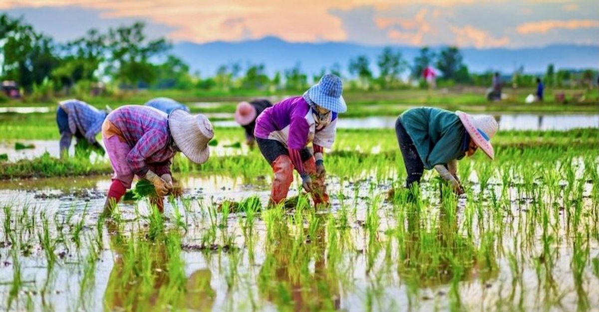 How a place’s ecology can shape the culture of the people who live there – podcast