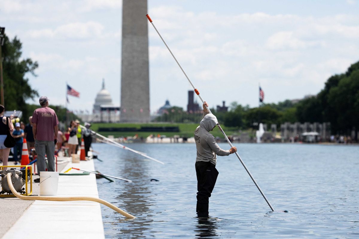 Trump is the scum on the Reflecting Pool — but this Republican poisoned the water