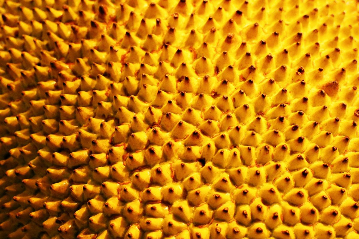 Why the stinky durian really is the ‘king of all fruits’