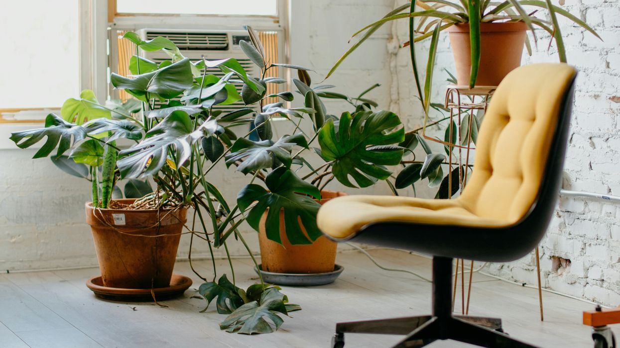 Iowa therapist charged with sex abuse has a 'long history of complaints'