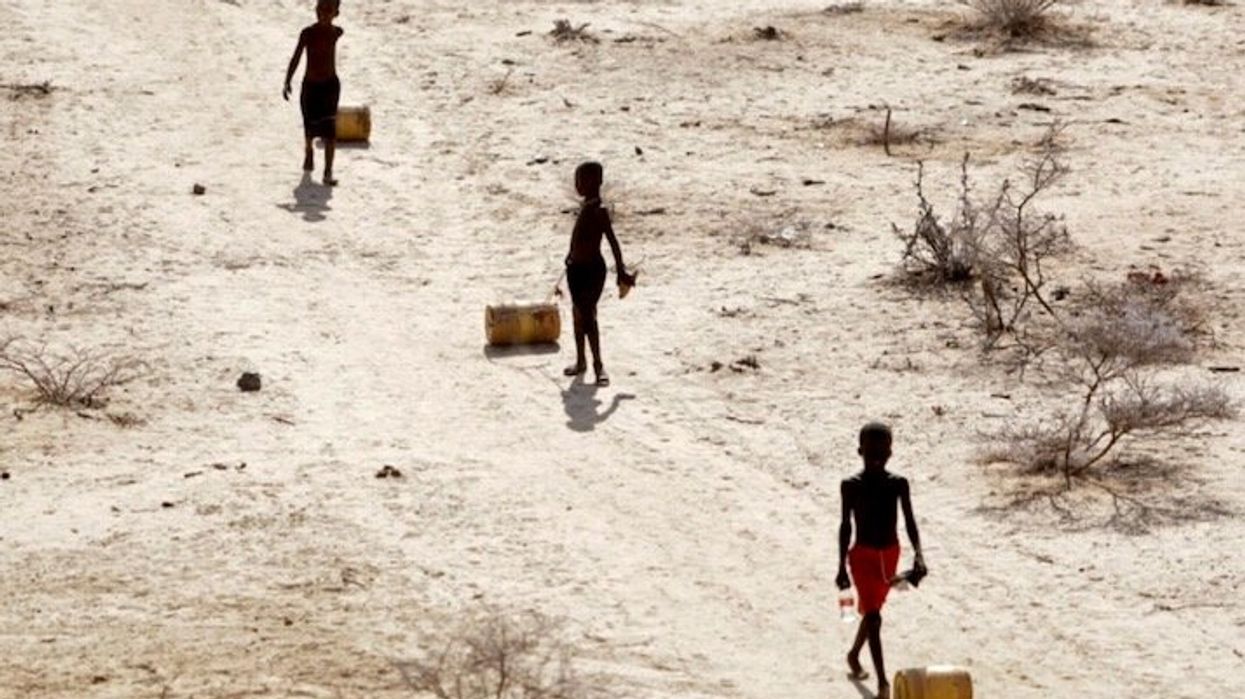 Climate change behind 'devastating drought' in Horn of Africa, report says